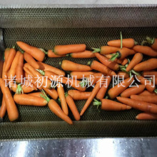 新一代胡萝卜清洗机厂家 红薯清洗去皮机 土豆清洗机